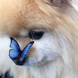 Meet your Posher, Beth